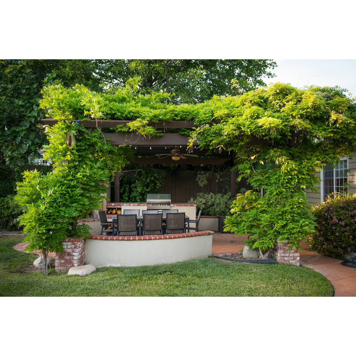 natural pergola