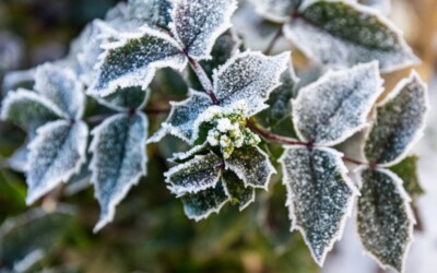 Isoler ma véranda pour un hiver au chaud