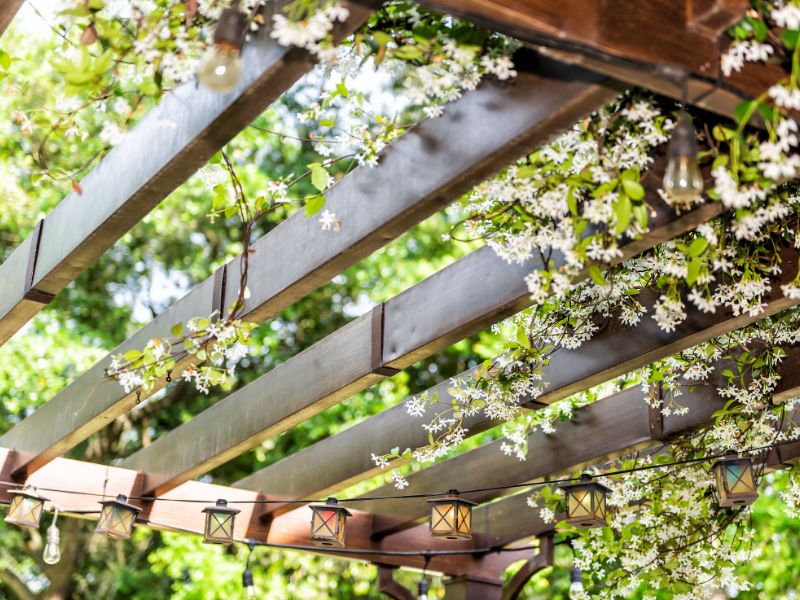 Thorough cleaning of terrace and pergola