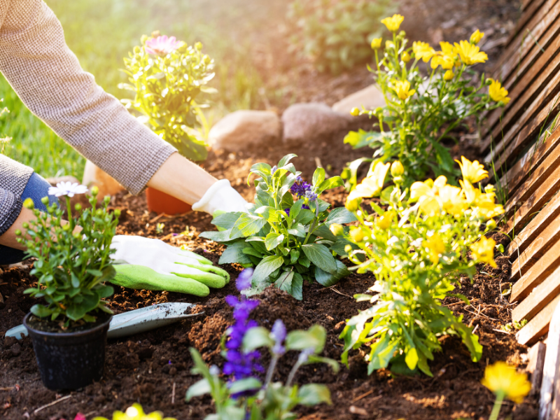 Cleaning your terrace and pergola for spring