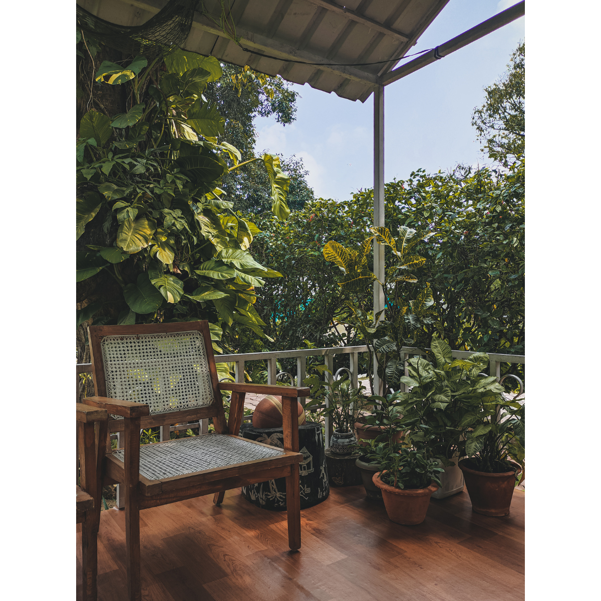 pergola avec des plantes