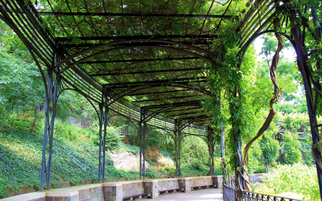 Une grande pergola avec des plantes vertes qui abrite un sentier aménagé de bancs en pierre