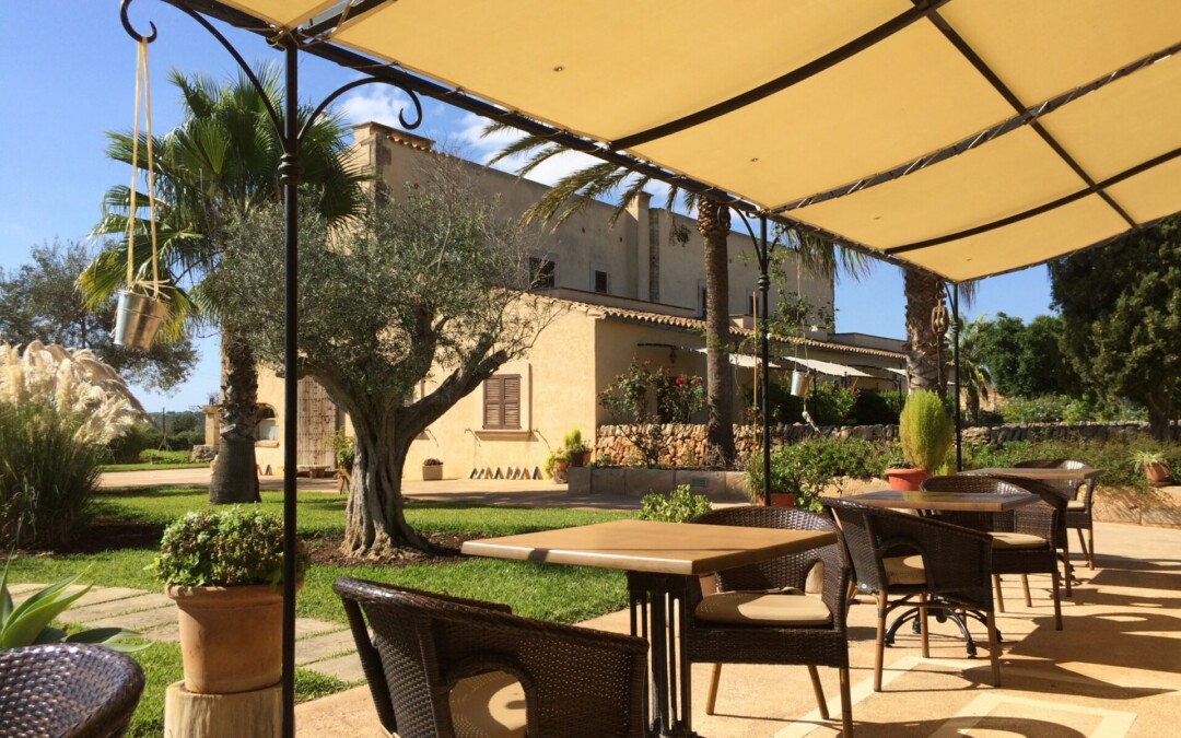 Auvent de terrasse qui abrite une terrasse d'un restaurant