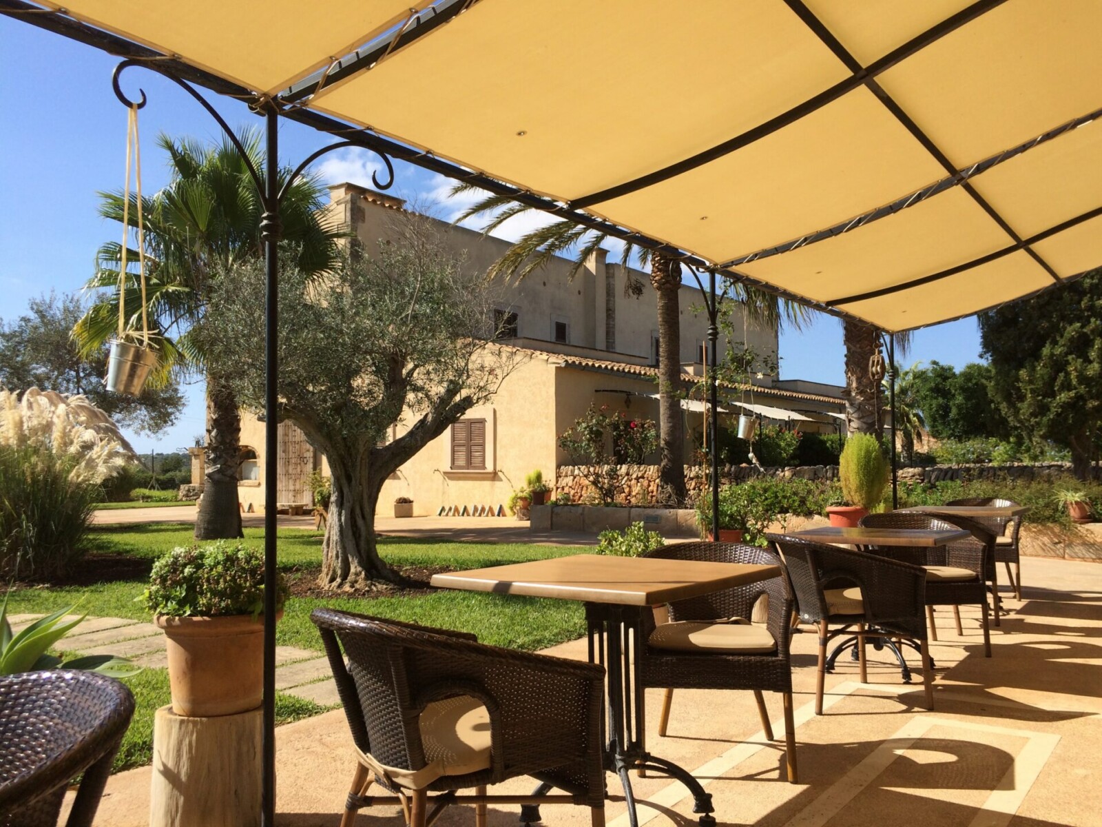 Auvent de terrasse qui abrite une terrasse d'un restaurant