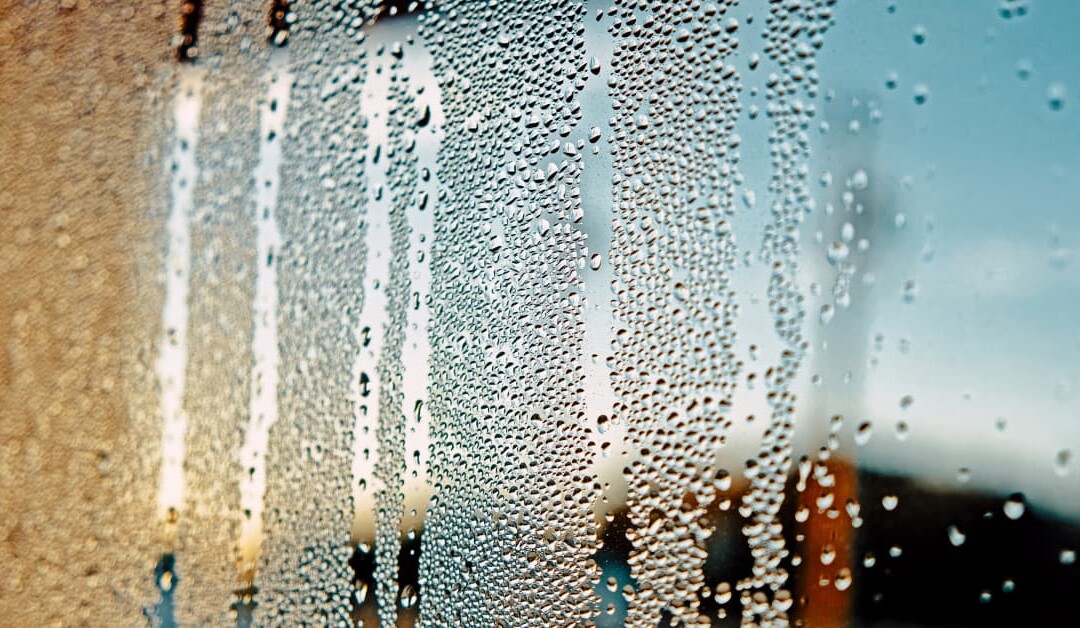 Condensation dans ma véranda : quelles causes et solutions ?